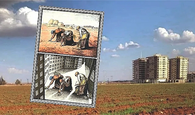 Dişli'den betonlaşmaya çarpıcı bakış