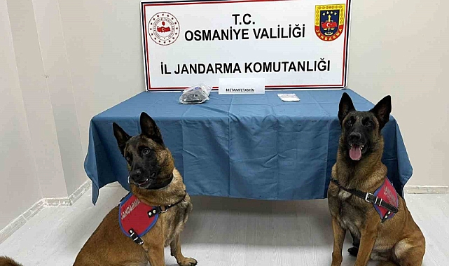 Jandarmadan uyuşturucu operasyonu