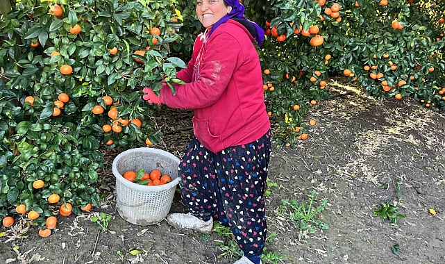 Mandalina dünya mutfağını süslüyor