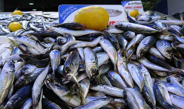 Olumsuz hava şartları sonrası avlanma azaldı, balık fiyatları 2’ye katladı