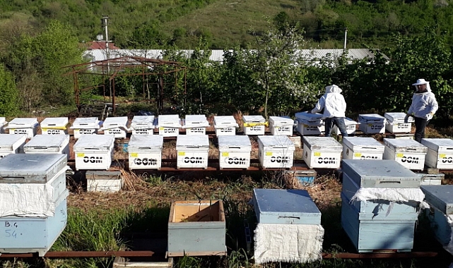 Süt ve bal üreticiliği için 1 milyon 444 bin lira destek