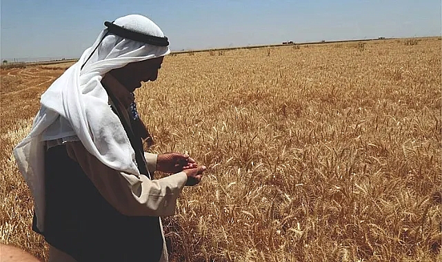 Urfa çiftçisine şok!