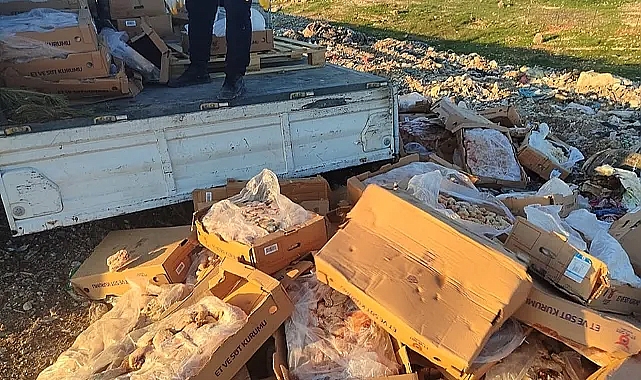 Urfa'da bozuk 2 ton tavuk eti imha edildi
