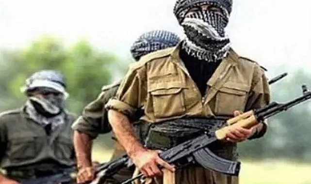 Urfa sınırında bir terörist yakalandı