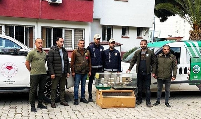 Yasaklı kuş satan iş yerine 41 bin 817 TL para cezası