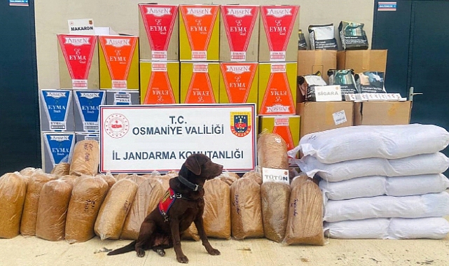 487 kilo kaçak tütün ele geçirildi