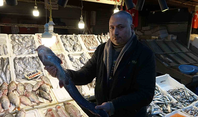 Balık bereketi