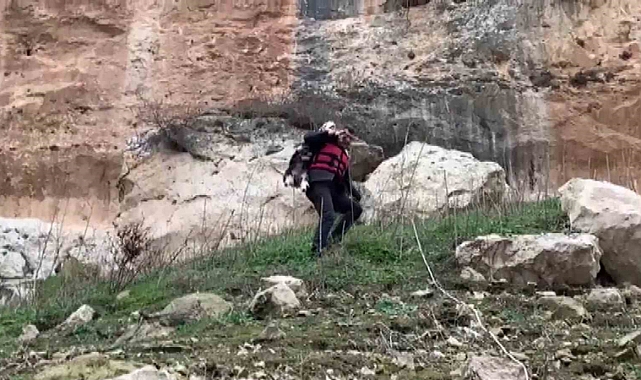 İtfaiye eri kayalıklarda kurtardığı keçiyi sırtında taşıyarak indirdi