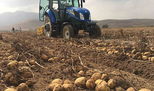 "Patates fiyatlarında artış yok"