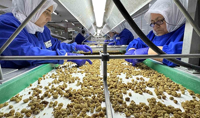 Türkiye organik ürün ihracatında 1 milyar dolar sınırını aştı