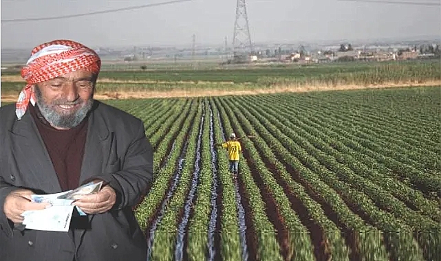 Urfa çiftçisi desteklemesine kavuşuyor