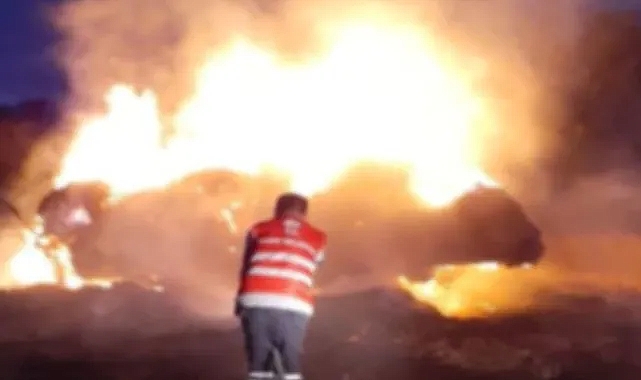 Urfa'da tonlarca saman balyası alevlere teslim oldu