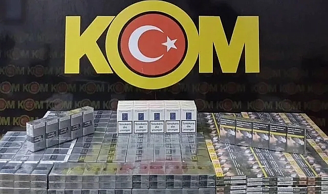 Viranşehir'de operasyon: Gözaltılar var