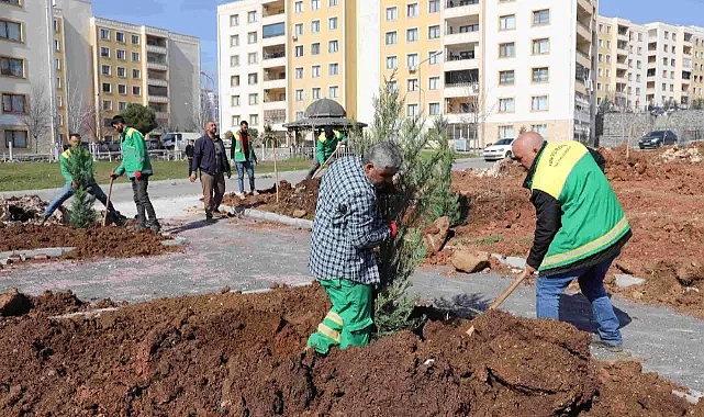 Seyrantepe'de 21 bin metrekarelik yeşil alan için çalışmalar sürüyor
