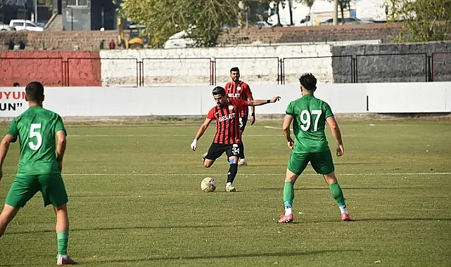 Viranşehir adım adım 3. Lige