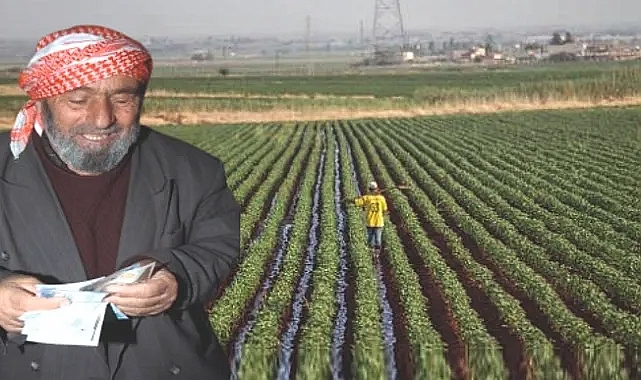 Desteklemeler bugün hesaplara aktarılıyor