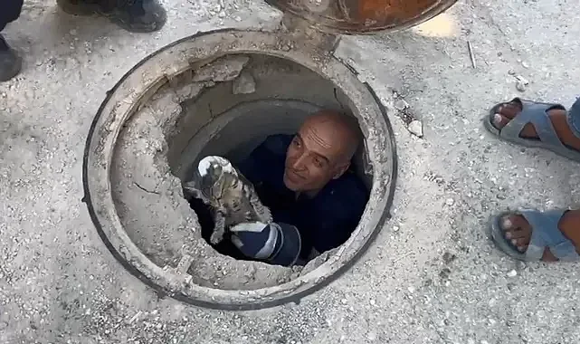 Lağım borusuna sıkışan kediyi itfaiye ekipleri kurtardı