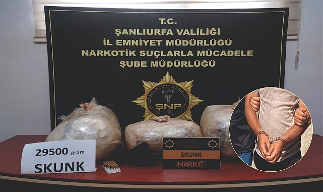 29 Kilo Skunk ele geçirildi