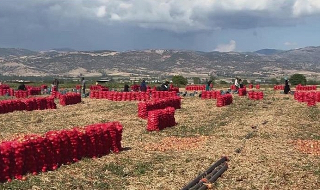 Amasya'da hortumun arasında kaldılar