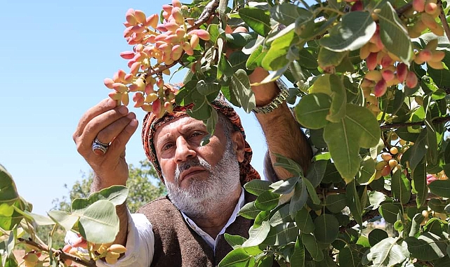 Urfalının payına hayal kırıklığı düştü