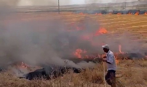 Bir çiftçinin 'Anız yangını isyanı