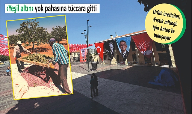 Bize sadece yaprağı kaldı!