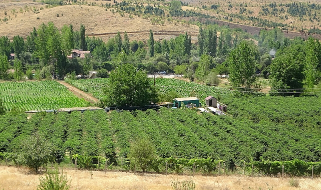 Bu bahçeye giren bir daha çıkmak istemiyor