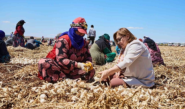 Çiftçiye 8 milyon 432 bin 925 litre mazot desteği verildi