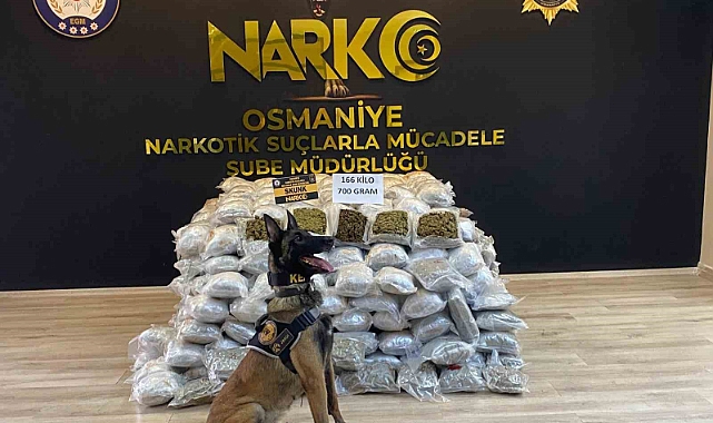 Durdurulan tırda 166 kilo 700 gram skunk ele geçirildi
