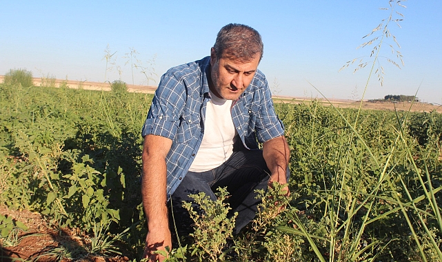 'Endişemiz büyük'