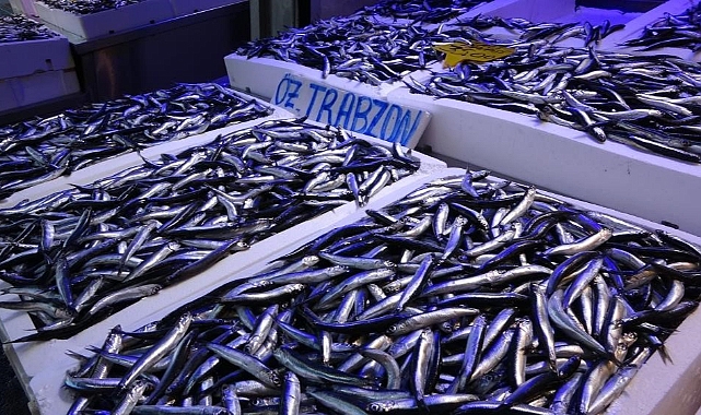 Hamside 400 bin tonluk av kotasına balıkçılardan tepki