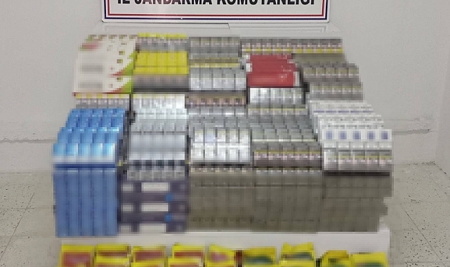 Jandarma’dan kaçakçılara operasyon
