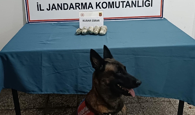 Jandarmadan tarihi eser ve uyuşturucu operasyonu