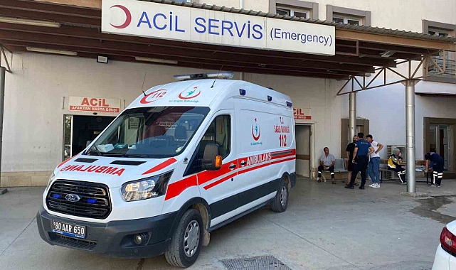 Jandarmadan tarihi eser ve uyuşturucu operasyonu