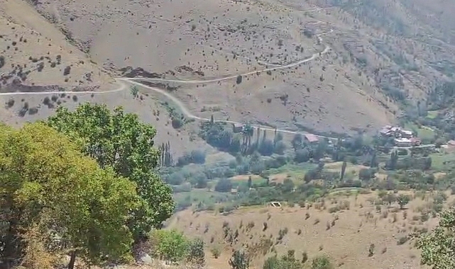 Ormanlık alanda çıkan örtü yangını söndürüldü