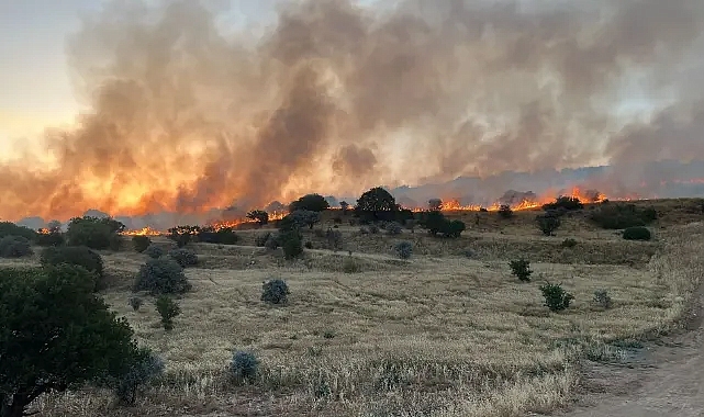 Ormanlık alanda çıkan yangın söndürüldü