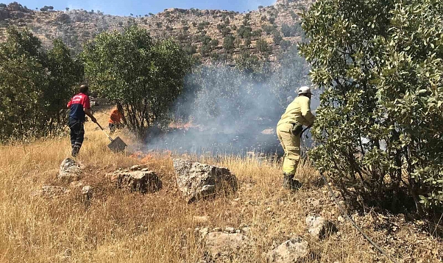 Ormanlık alanda çıkan yangın söndürüldü
