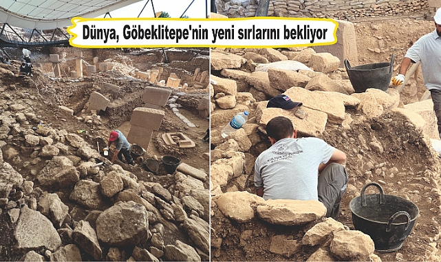 Sonunda Koordinatör de isyan etti