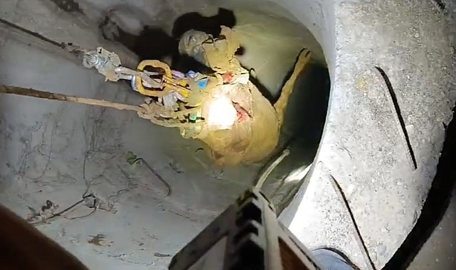 Su kuyusuna düşen inek halatlı makarayla kurtarıldı