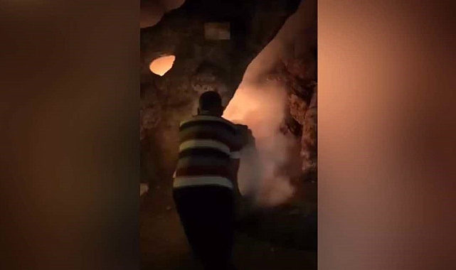 Tarihi çınar ağacı içten içe yandı