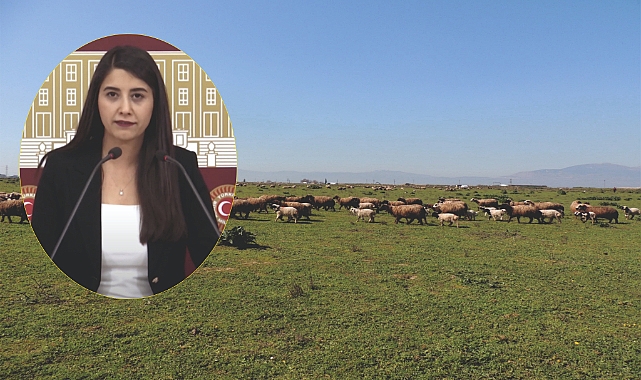 Urfa'da meralara TOKİ mi el koyuyor?