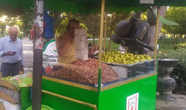 Urfa fıstığı seyirlik oldu: Bakıp geçiyoruz