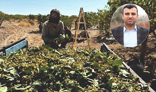 Urfalı vekilden Bakana fıstık soruları
