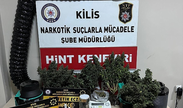 Uyuşturucu yetiştirmek için evine sera kurmuş
