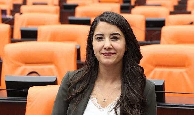 Vekil Ayan'dan Meclise 2 ayrı önerge