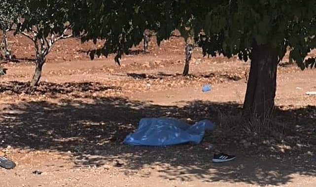 Sır perdesi yavaş yavaş aydınlanıyor