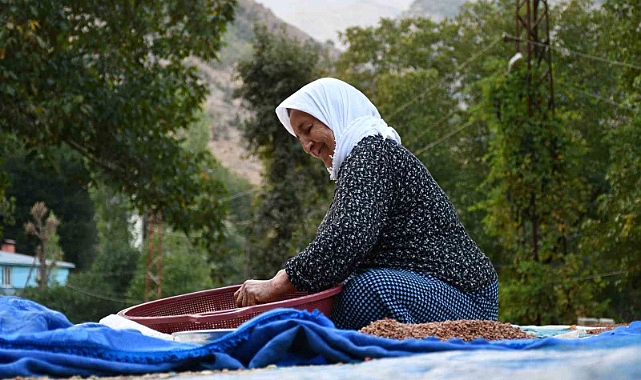 Aile sumak satarak geçimini sağlıyor