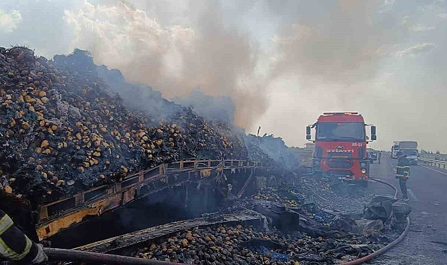 Armut yüklü tır alevlere teslim oldu