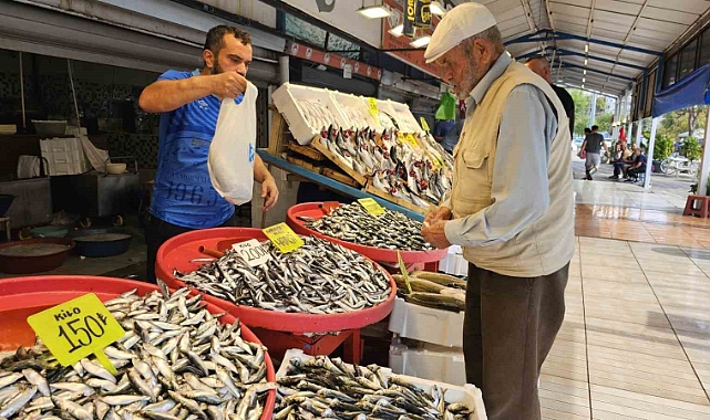 Av yasağı bitti tezgahlar palamutla doldu