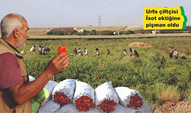 Bakın en son kaç liraya düştü